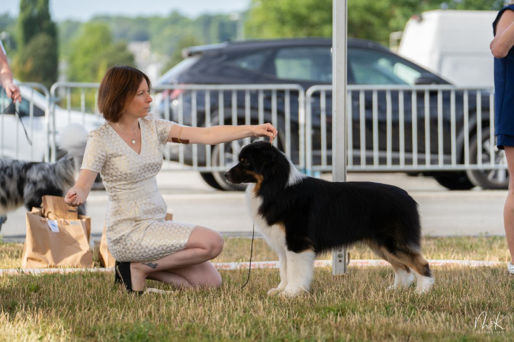 Endless Original Unchained black power